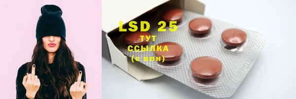 spice Верея
